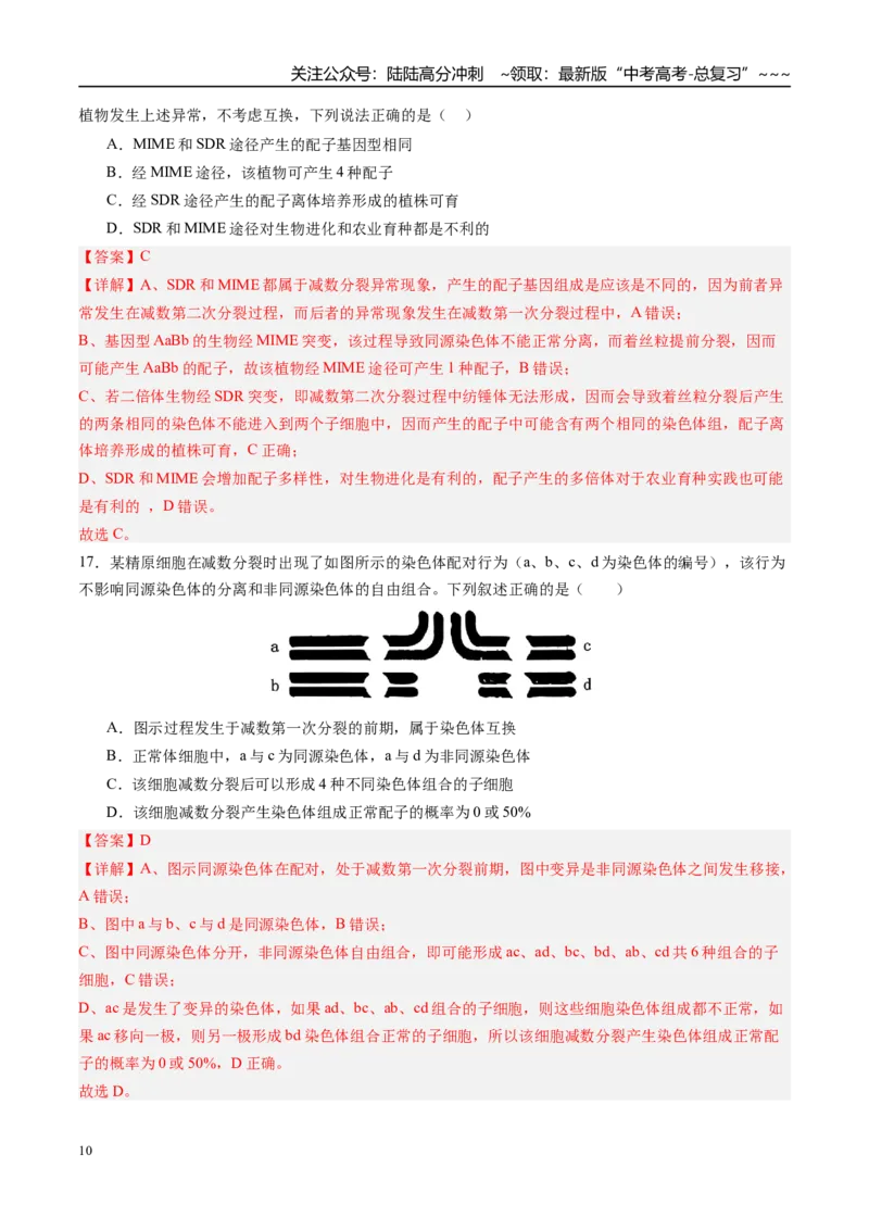 《第四单元细胞的生命历程（综合训练）（四川专用）（教师版）_06-生物-高考总复习_一轮复习_2026年-生物高考一轮复习_2026年高考生物一轮课件+讲义+练习（四川专用）-G335》第10页预览