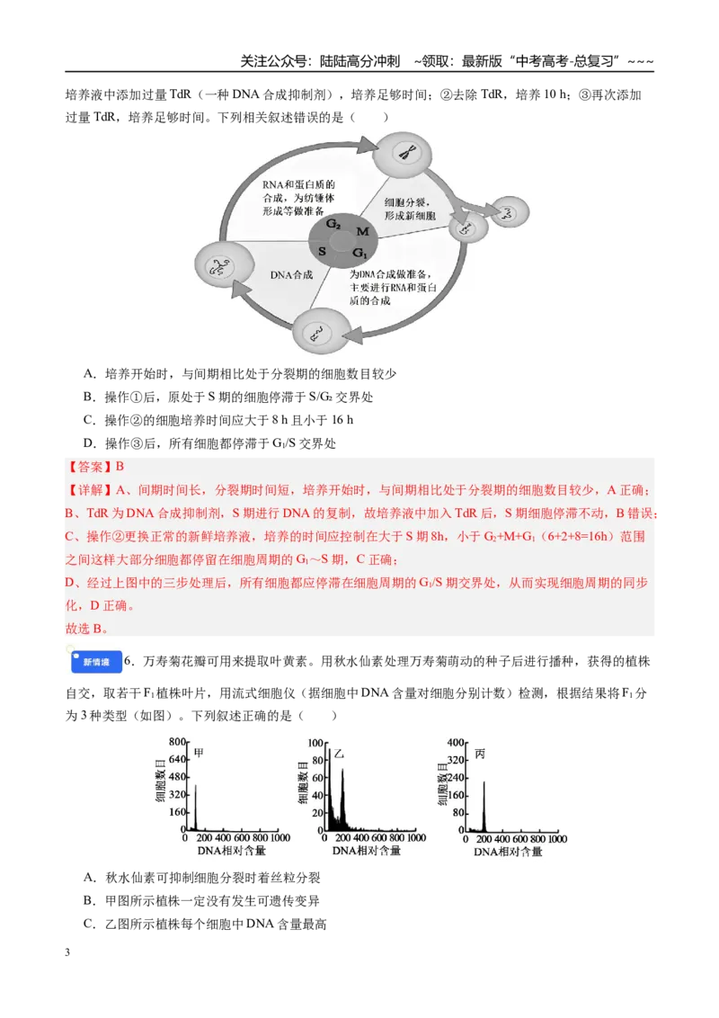 《第四单元细胞的生命历程（综合训练）（四川专用）（教师版）_06-生物-高考总复习_一轮复习_2026年-生物高考一轮复习_2026年高考生物一轮课件+讲义+练习（四川专用）-G335》第3页预览