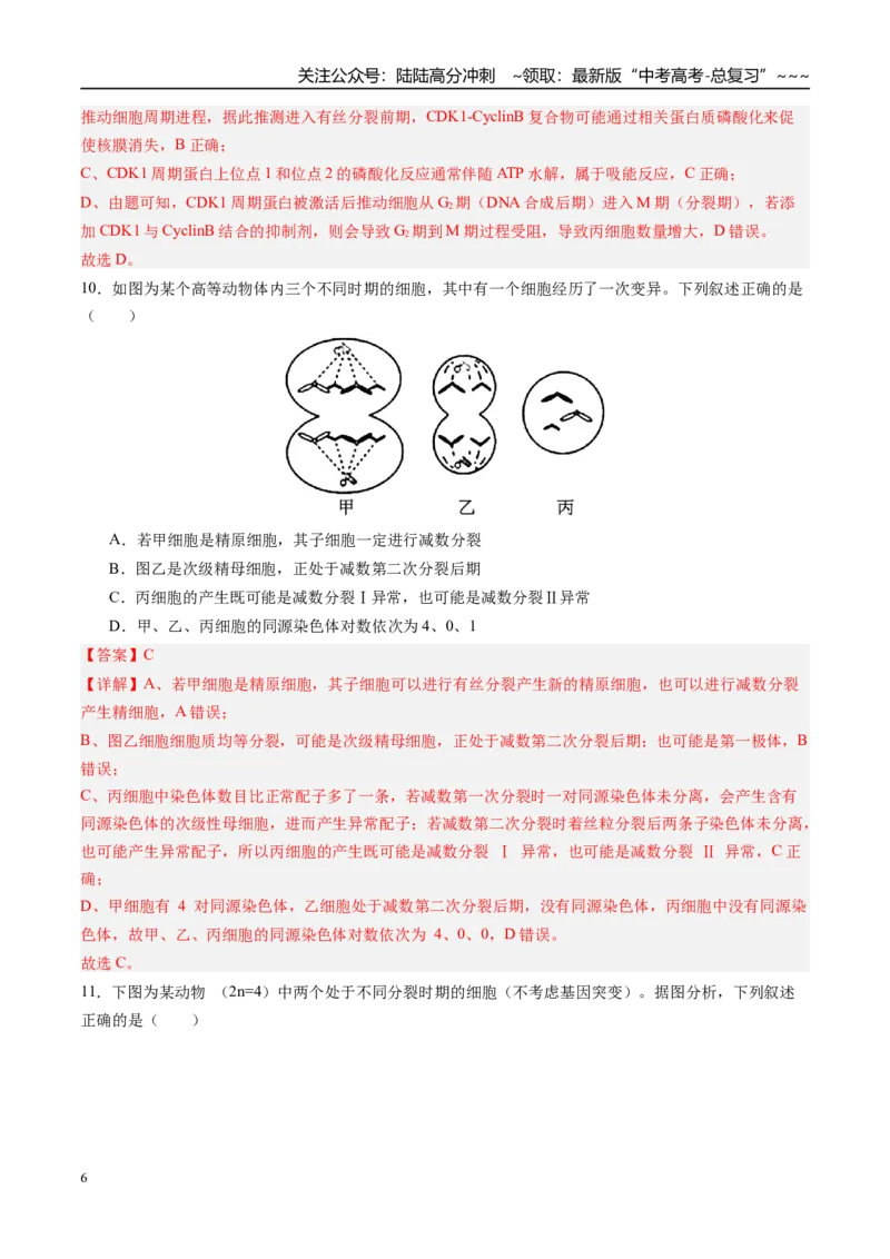 《第四单元细胞的生命历程（综合训练）（四川专用）（教师版）_06-生物-高考总复习_一轮复习_2026年-生物高考一轮复习_2026年高考生物一轮课件+讲义+练习（四川专用）-G335》第6页预览