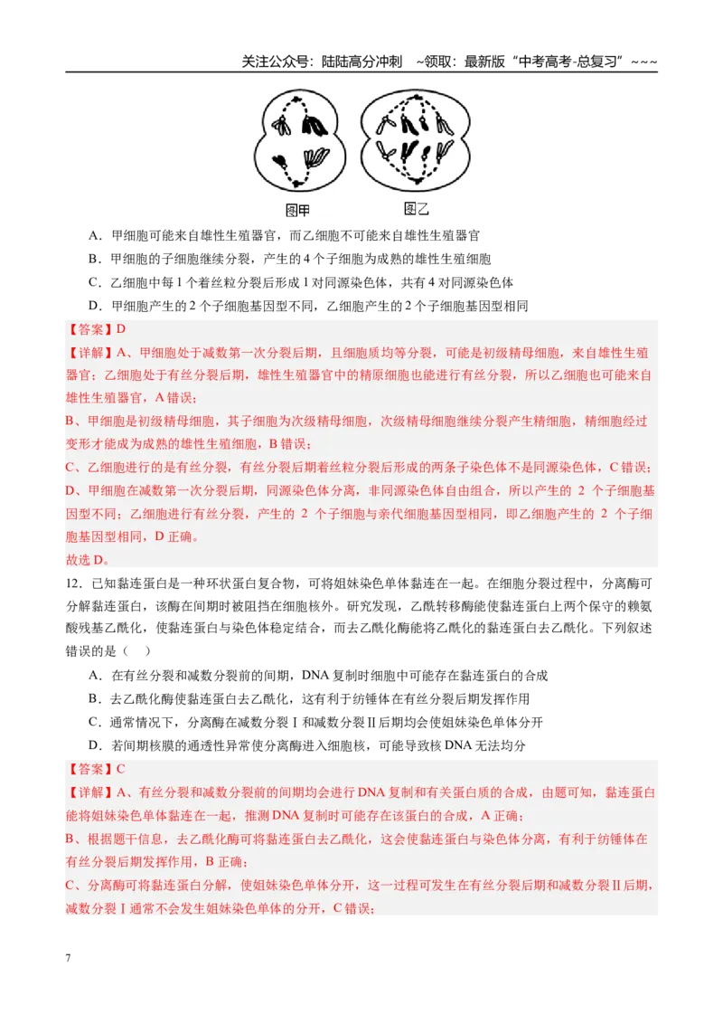 《第四单元细胞的生命历程（综合训练）（四川专用）（教师版）_06-生物-高考总复习_一轮复习_2026年-生物高考一轮复习_2026年高考生物一轮课件+讲义+练习（四川专用）-G335》第7页预览