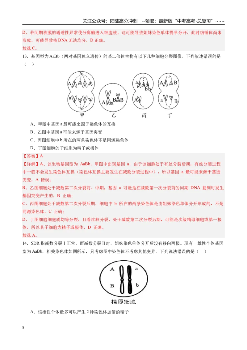 《第四单元细胞的生命历程（综合训练）（四川专用）（教师版）_06-生物-高考总复习_一轮复习_2026年-生物高考一轮复习_2026年高考生物一轮课件+讲义+练习（四川专用）-G335》第8页预览