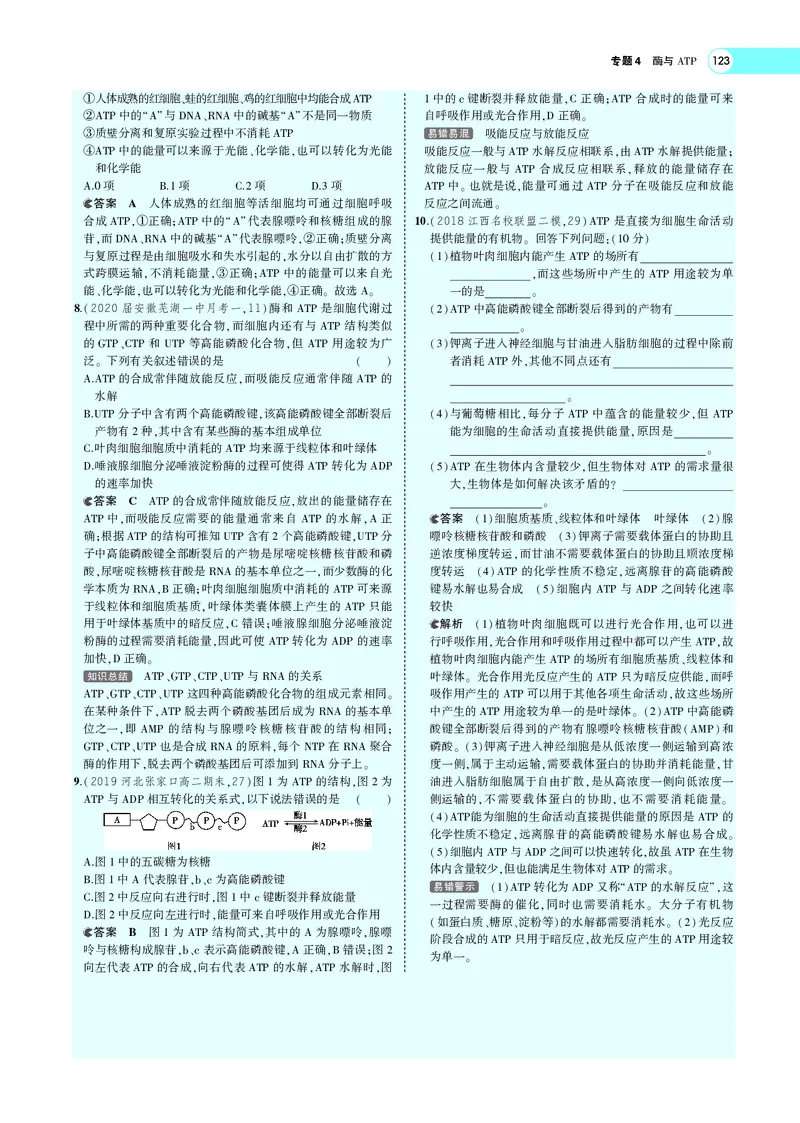 《专题4酶与ATP_2022版教学资源包_五年高考三年模拟_2022版新高考版选考总复习生物5·3A版_0125143739_专题4酶与ATP_专题PDF_专题PDF_专题电子书》第8页预览