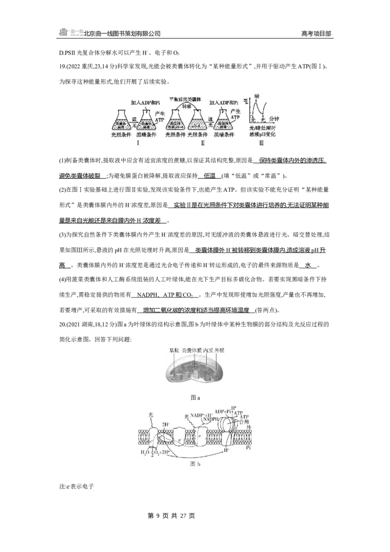 《4_2025版5·3B版新高考版练习册WORD_2025版教学资源包_（总复习系列）2025版《5年高考3年模拟》新高考版B版（⭐全科）_2025版.新高考新教材版.选考总复习.生物.5·3B版_专题6光合作用》第9页预览
