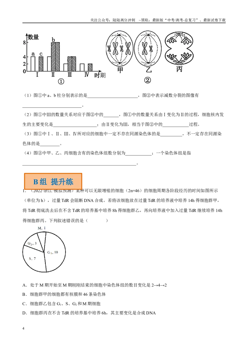 《解密08细胞分裂与受精作用（分层训练）-高频考点解密2023年高考生物二轮复习讲义+分层训练（新教材）（原卷版）_06-生物-高考总复习_二轮复习_2024年_资料》第4页预览