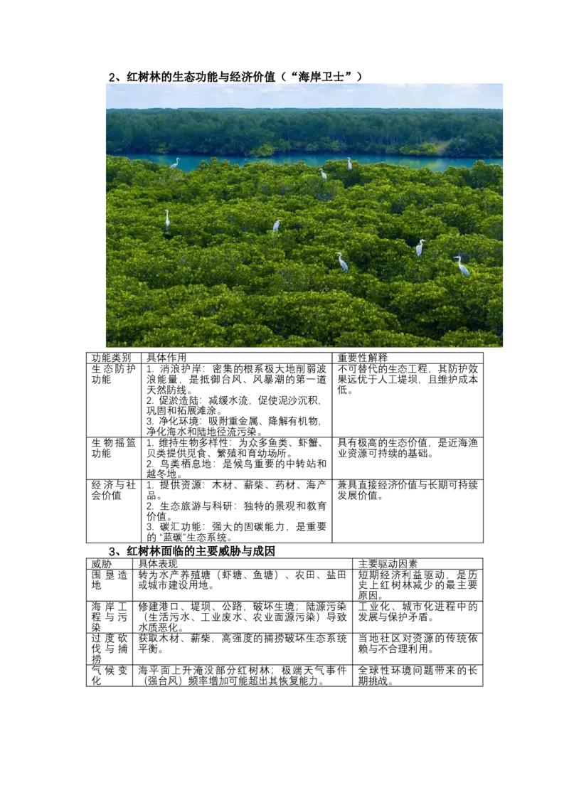 《高频考点104红树林_地理_2026年-地理高考专项复习_42026年高考地理高频考点专项突破思维导图+解题技巧+专项突破》第3页预览