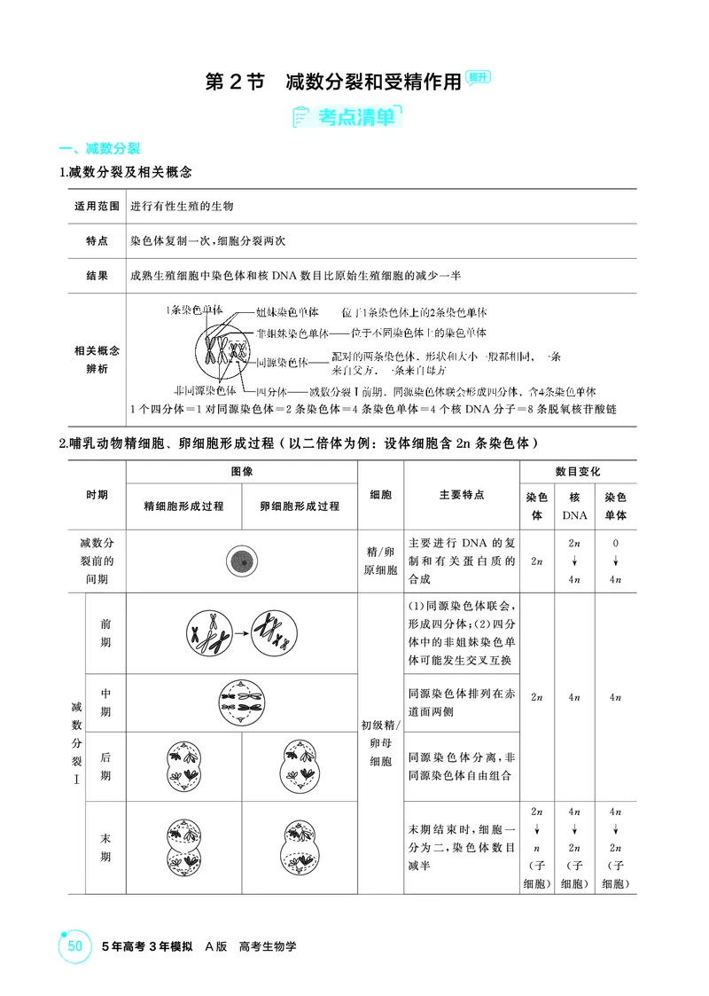《1_精讲册-第4章细胞的生命历程_2026版教学资源包_202653高考总复习A版_浙江版_2026版.浙江版.选考总复习.生物.5·3A版_第1部分分子与细胞_第4章细胞的生命历程_2_精讲册PDF》第6页预览