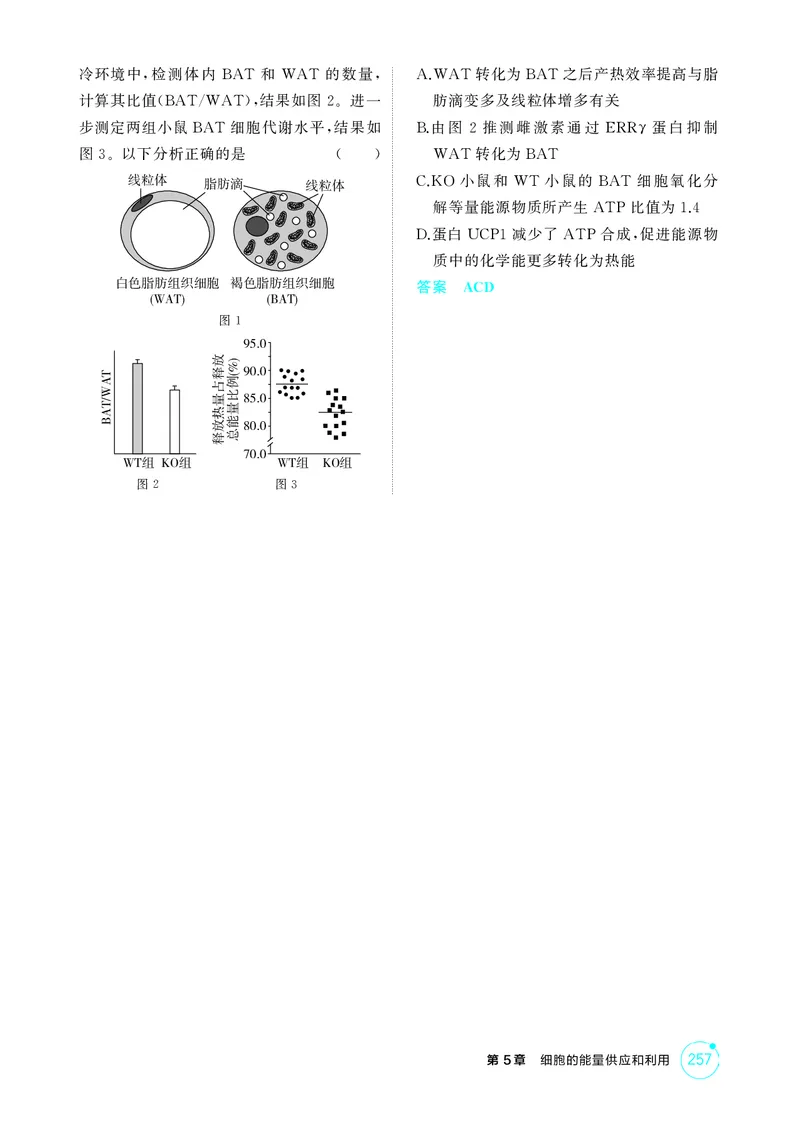 《1_精练册-第5章细胞的能量供应和利用_2026版教学资源包_202653高考总复习A版_湖南版_2026版.湖南版.选考总复习.生物.5·3A版_第1部分分子与细胞_第5章细胞的能量供应和利用_4_PDF教参电子书》第10页预览