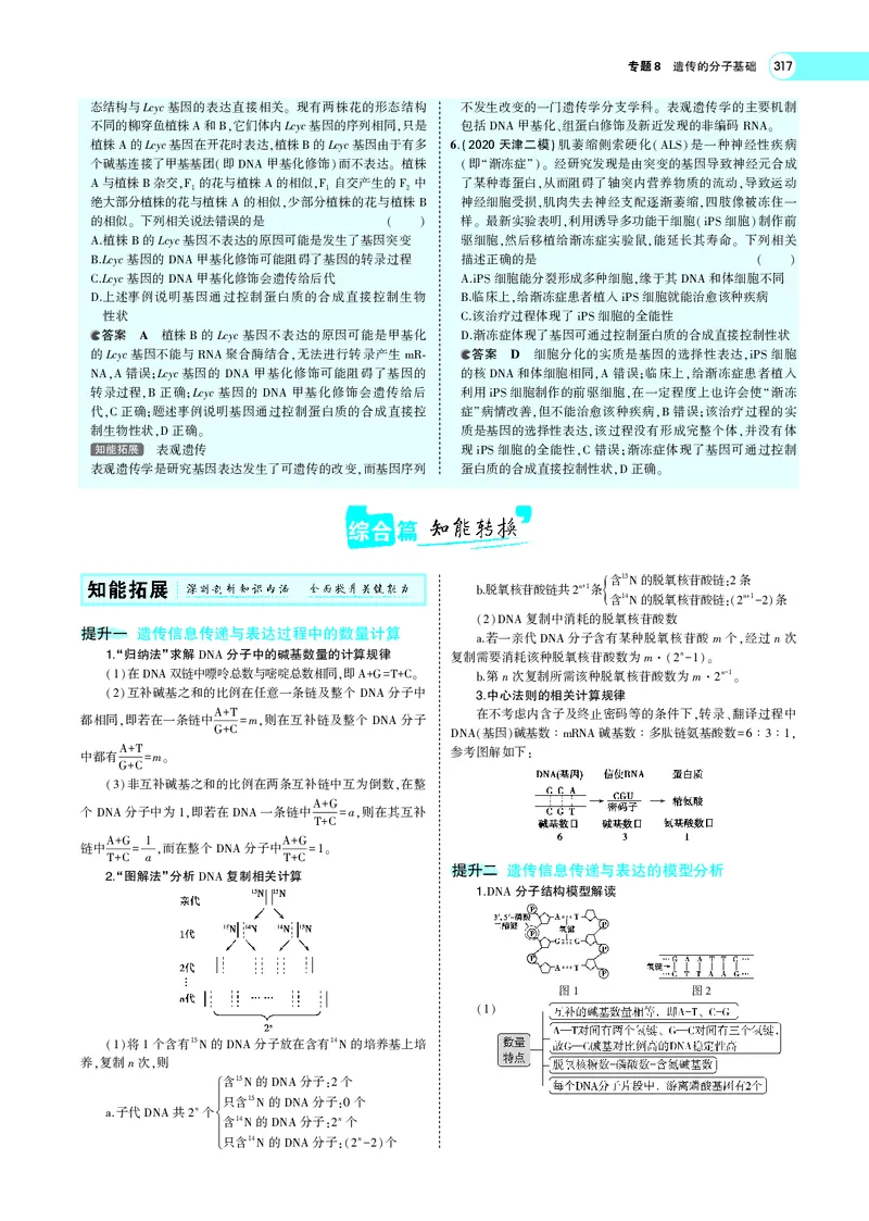 《专题8　遗传的分子基础_2022版教学资源包_五年高考三年模拟_2022版新高考版选考总复习生物5·3A版_0125143739_专题8遗传的分子基础_专题PDF_专题PDF_专题电子书》第10页预览