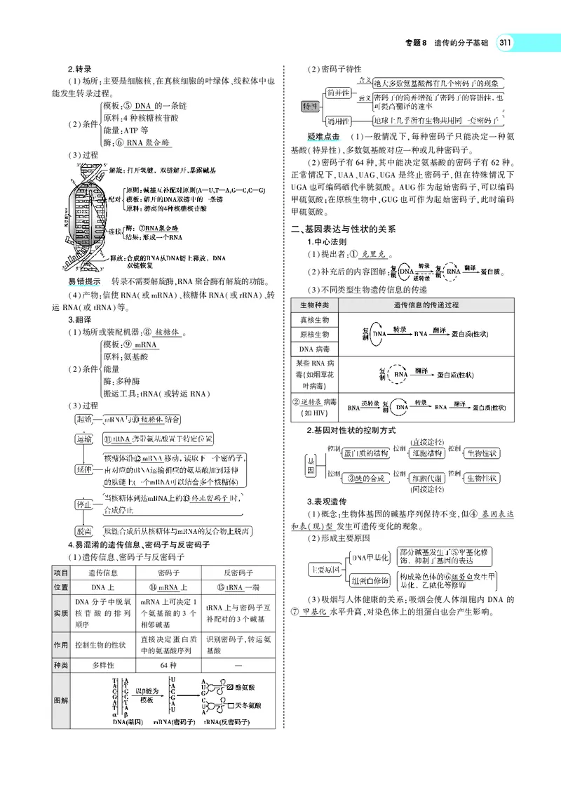 《专题8　遗传的分子基础_2022版教学资源包_五年高考三年模拟_2022版新高考版选考总复习生物5·3A版_0125143739_专题8遗传的分子基础_专题PDF_专题PDF_专题电子书》第4页预览