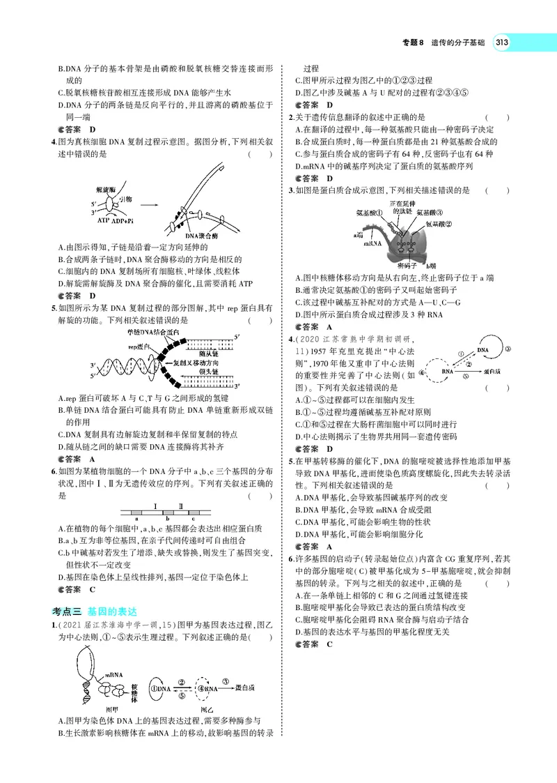 《专题8　遗传的分子基础_2022版教学资源包_五年高考三年模拟_2022版新高考版选考总复习生物5·3A版_0125143739_专题8遗传的分子基础_专题PDF_专题PDF_专题电子书》第6页预览