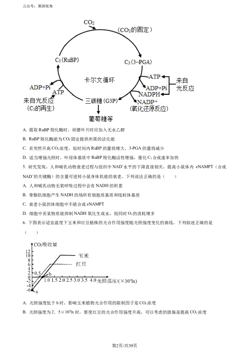 《10_2024届山东省名校高三模拟预测生物试题（原卷版）_2025版教学资源包_（总复习系列）2025版《5年高考3年模拟》新高考版A版（⭐全科）_2025版.新高考版.选考总复习.生物.5·3A版》第2页预览
