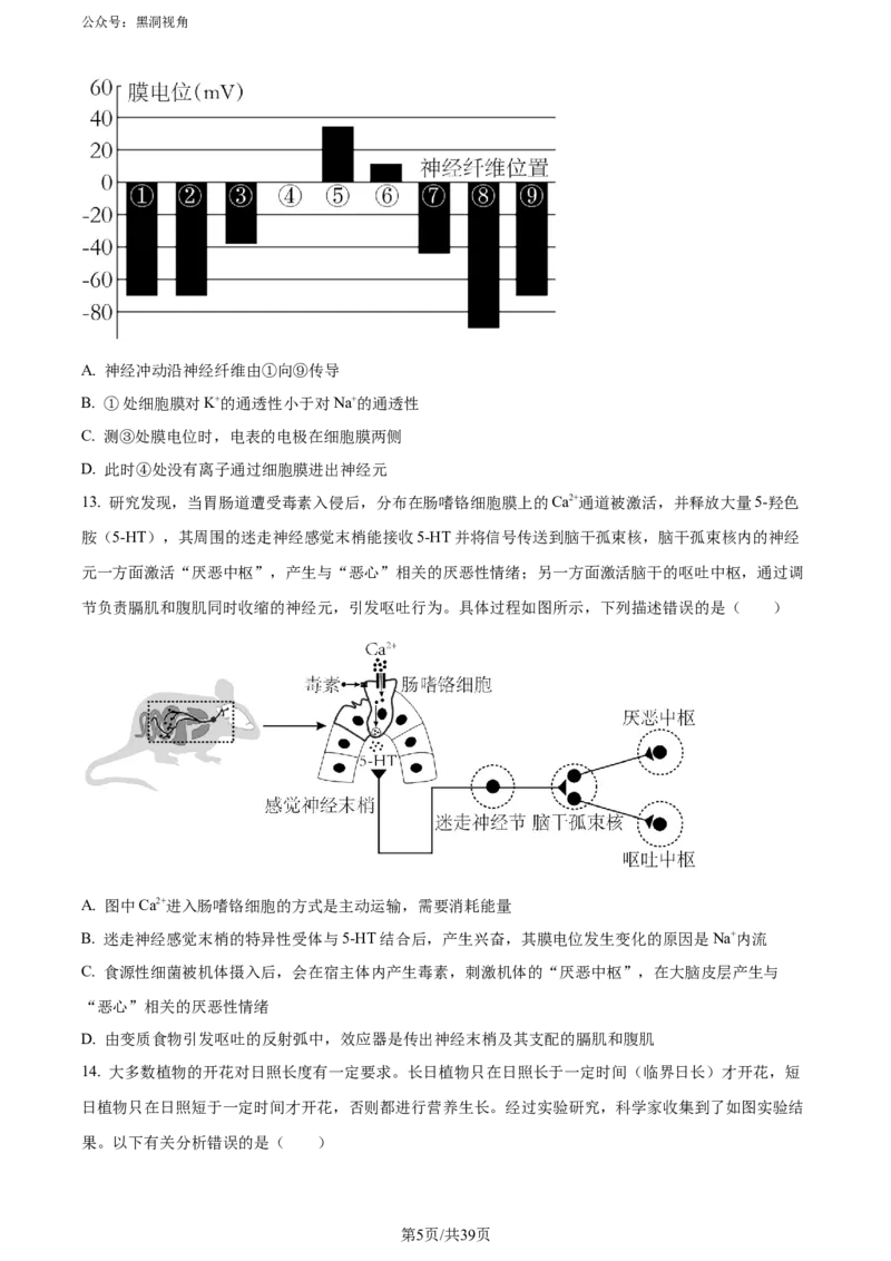 《10_2024届山东省名校高三模拟预测生物试题（原卷版）_2025版教学资源包_（总复习系列）2025版《5年高考3年模拟》新高考版A版（⭐全科）_2025版.新高考版.选考总复习.生物.5·3A版》第5页预览