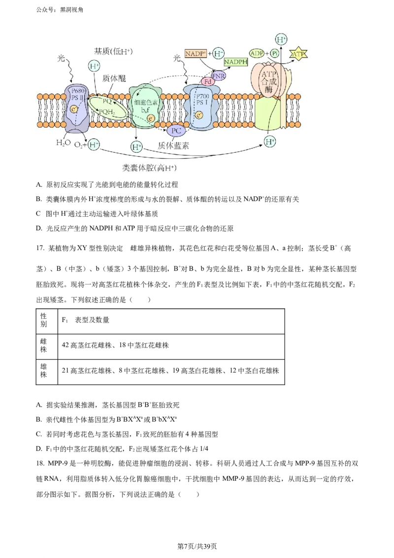 《10_2024届山东省名校高三模拟预测生物试题（原卷版）_2025版教学资源包_（总复习系列）2025版《5年高考3年模拟》新高考版A版（⭐全科）_2025版.新高考版.选考总复习.生物.5·3A版》第7页预览