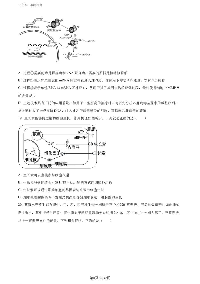 《10_2024届山东省名校高三模拟预测生物试题（原卷版）_2025版教学资源包_（总复习系列）2025版《5年高考3年模拟》新高考版A版（⭐全科）_2025版.新高考版.选考总复习.生物.5·3A版》第8页预览