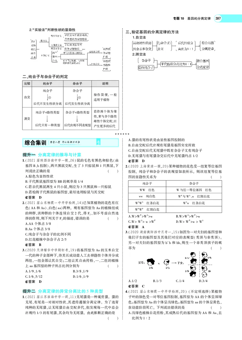 《专题10　基因的分离定律_2022版教学资源包_五年高考三年模拟_2022版新高考版选考总复习生物5·3A版_0125143739_专题10基因的分离定律_专题PDF_专题PDF_专题电子书》第7页预览