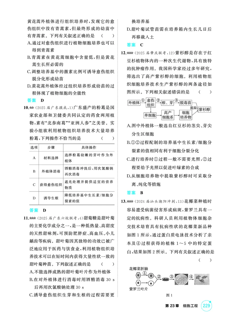 《1_精练册-第23章细胞工程_2026版教学资源包_202653高考总复习A版_广东版_2026版.广东版.选考总复习.生物.5·3A版_第5部分生物技术与工程_第23章细胞工程_4_PDF教参电子书》第3页预览