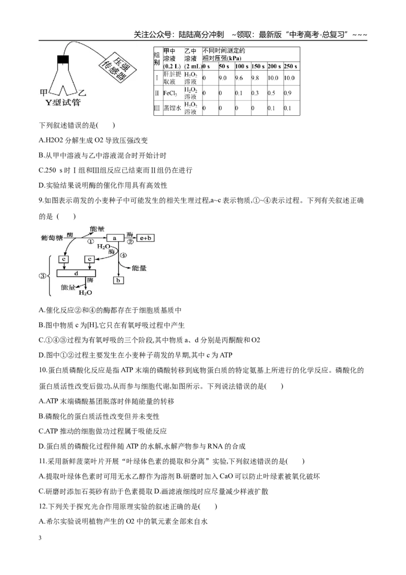 《第三单元细胞的能量供应和利用（综合训练）（黑吉辽蒙专用）（学生版）_06-生物-高考总复习_一轮复习_2026年-生物高考一轮复习_2026年高考生物一轮课件+讲义+练习（黑吉辽蒙专用）-G330》第3页预览