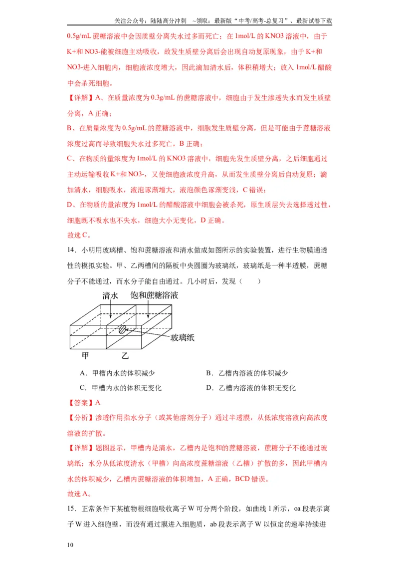 《第二单元细胞的基本结构（测试卷）（解析版)_06-生物-高考总复习_一轮复习_2024年_2024年高考生物一轮复习重难点专项突破_资料》第10页预览