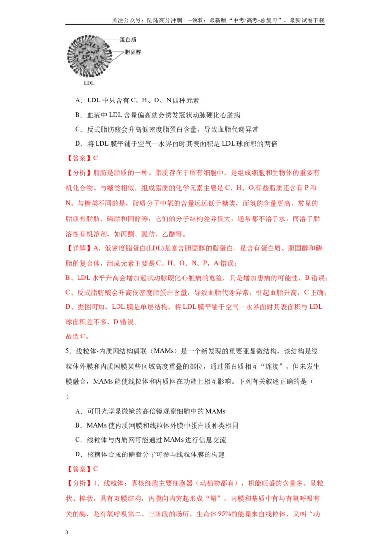 《第二单元细胞的基本结构（测试卷）（解析版)_06-生物-高考总复习_一轮复习_2024年_2024年高考生物一轮复习重难点专项突破_资料》第3页预览