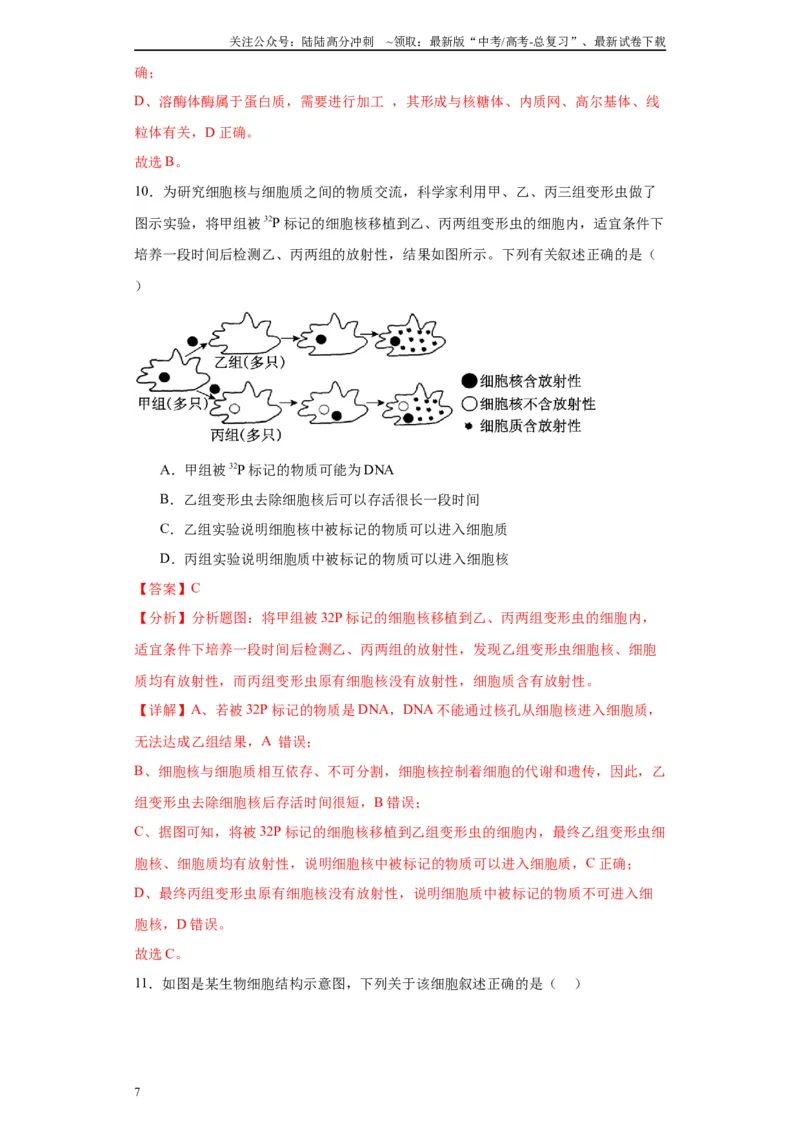 《第二单元细胞的基本结构（测试卷）（解析版)_06-生物-高考总复习_一轮复习_2024年_2024年高考生物一轮复习重难点专项突破_资料》第7页预览