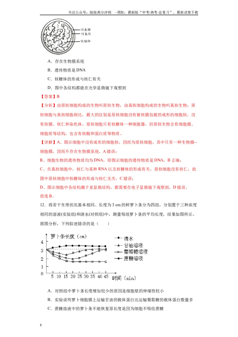 《第二单元细胞的基本结构（测试卷）（解析版)_06-生物-高考总复习_一轮复习_2024年_2024年高考生物一轮复习重难点专项突破_资料》第8页预览