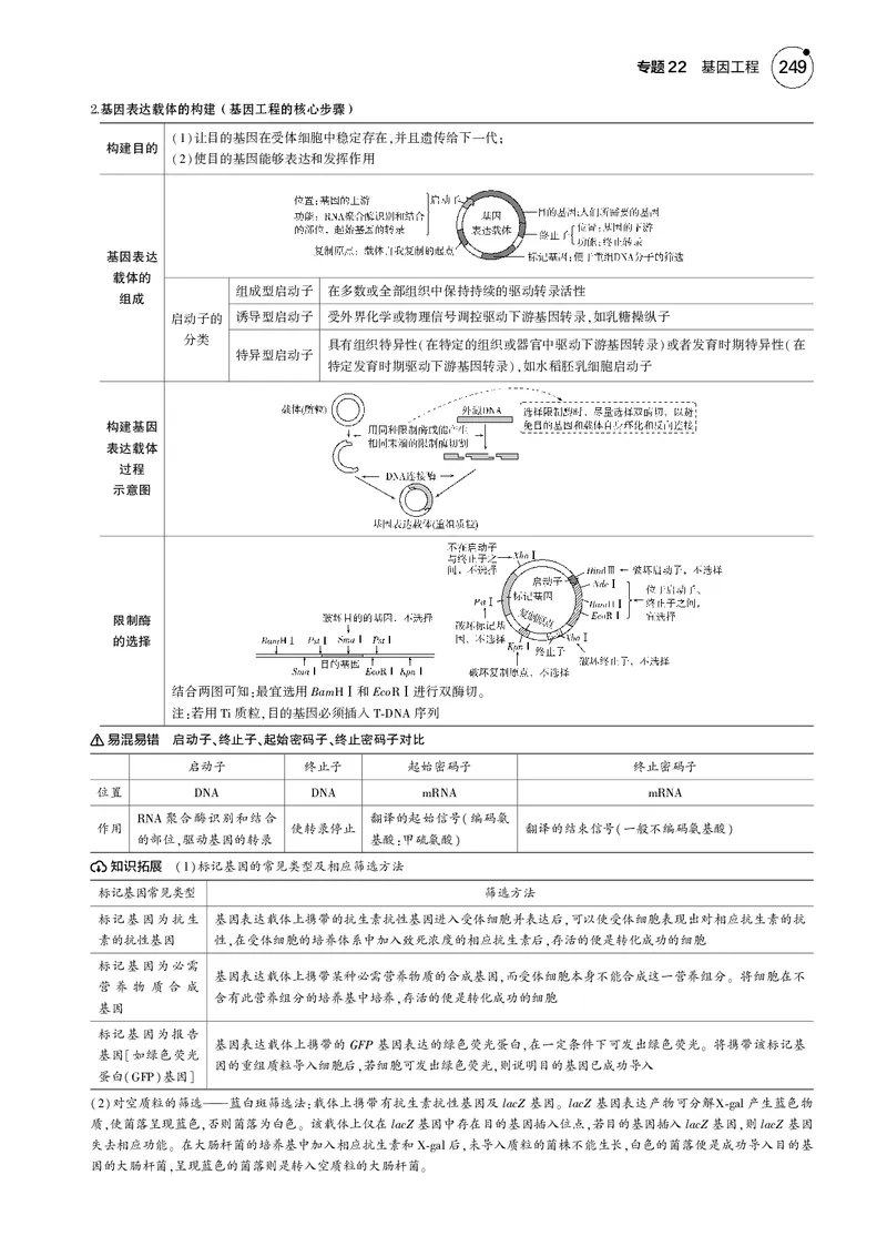 《5_2025版5·3B版新高考版教师用书PDF_2025版教学资源包_（总复习系列）2025版《5年高考3年模拟》新高考版B版（⭐全科）_2025版.新高考新教材版.选考总复习.生物.5·3B版_专题22基因工程》第4页预览