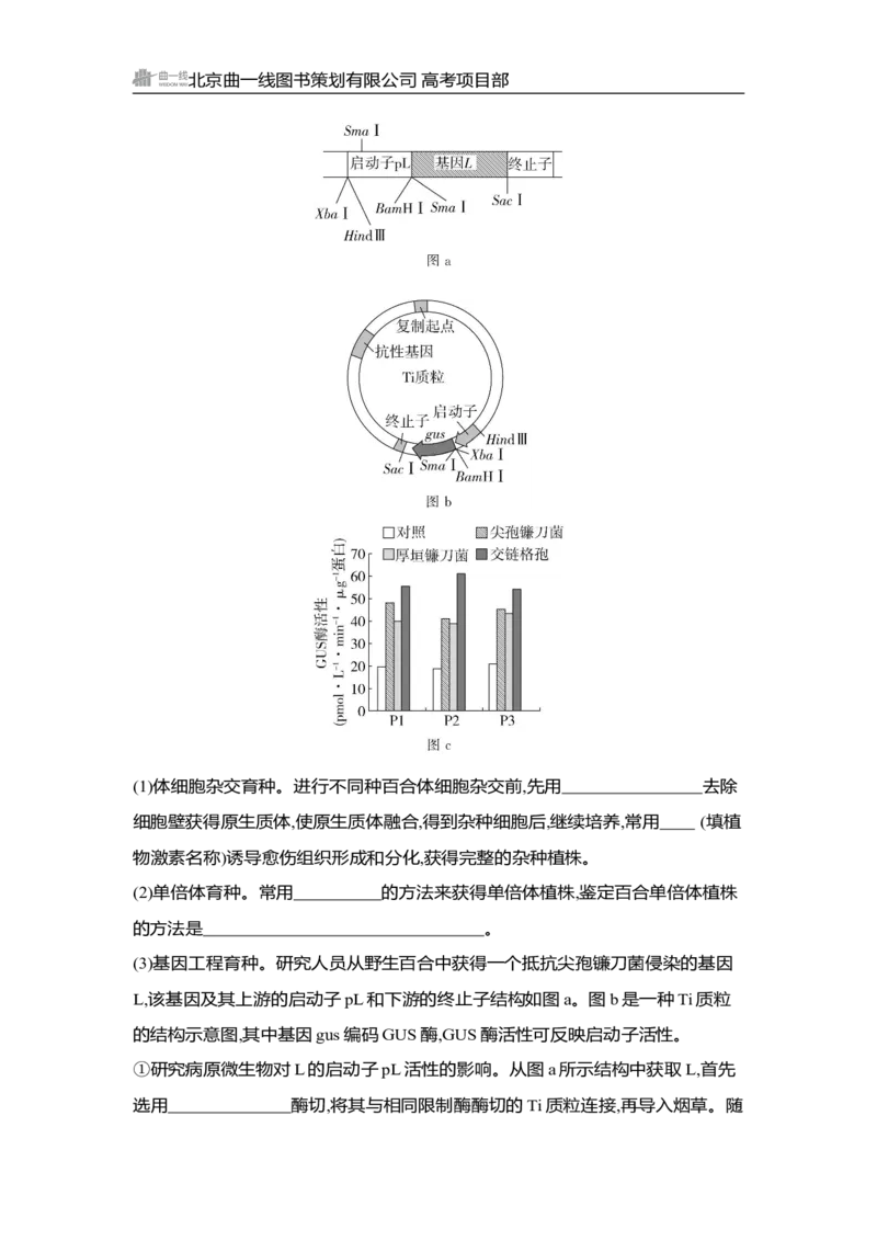 《1_精练册Word-第24章　基因工程_2026版教学资源包_202653高考总复习A版_湖南版_2026版.湖南版.选考总复习.生物.5·3A版_第5部分生物技术与工程_第24章基因工程_3_习题WORD》第5页预览