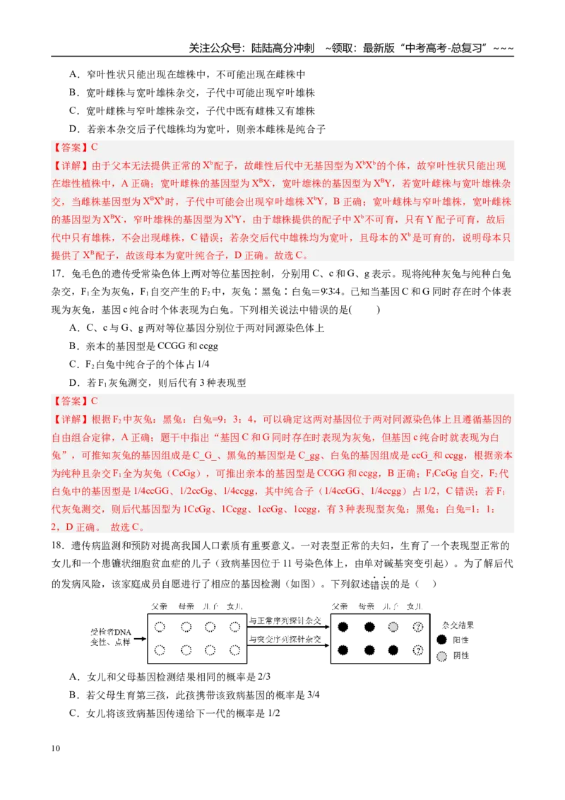 《第五单元基因的传递规律（综合训练）（四川专用）（教师版）_06-生物-高考总复习_一轮复习_2026年-生物高考一轮复习_2026年高考生物一轮课件+讲义+练习（四川专用）-G335》第10页预览