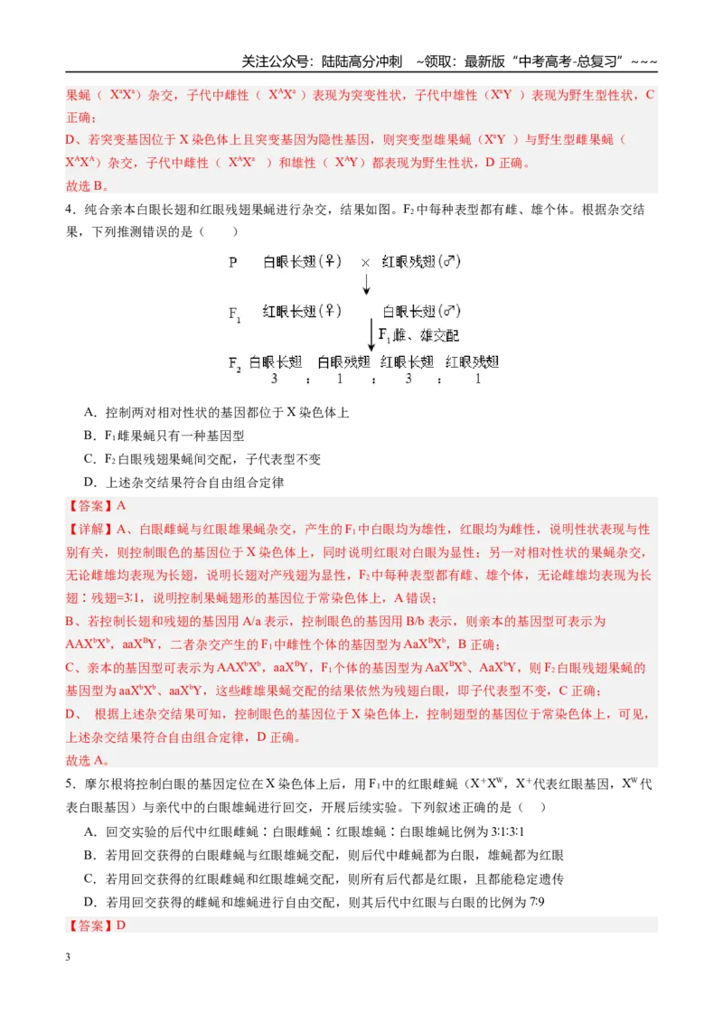 《第五单元基因的传递规律（综合训练）（四川专用）（教师版）_06-生物-高考总复习_一轮复习_2026年-生物高考一轮复习_2026年高考生物一轮课件+讲义+练习（四川专用）-G335》第3页预览
