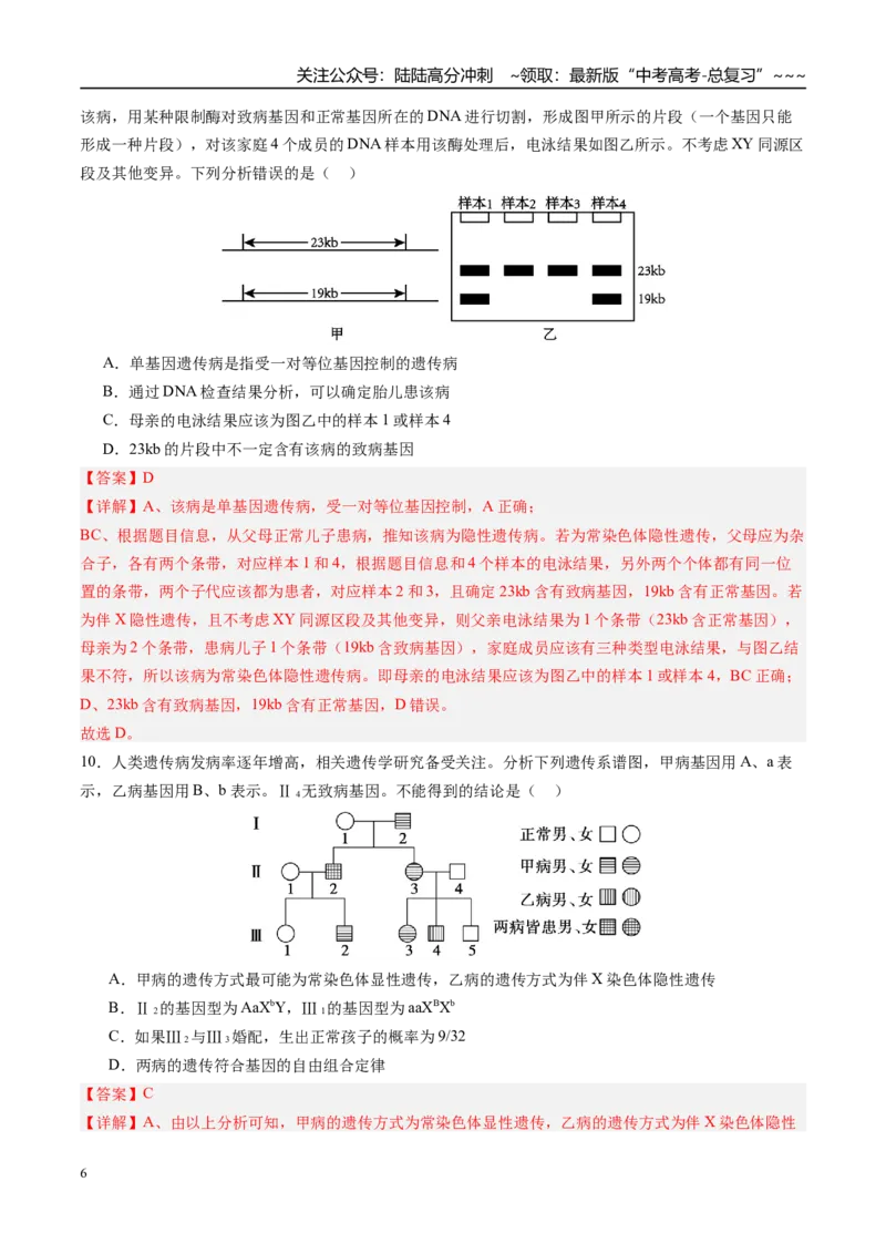 《第五单元基因的传递规律（综合训练）（四川专用）（教师版）_06-生物-高考总复习_一轮复习_2026年-生物高考一轮复习_2026年高考生物一轮课件+讲义+练习（四川专用）-G335》第6页预览