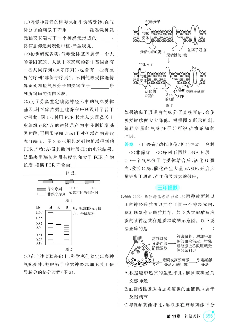《1_精练册-第14章神经调节_2026版教学资源包_202653高考总复习A版_湖南版_2026版.湖南版.选考总复习.生物.5·3A版_第3部分稳态与调节_第14章神经调节_4_PDF教参电子书》第7页预览