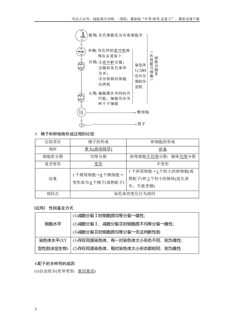 《第四单元　第21课时　减数分裂和受精作用_06-生物-高考总复习_一轮复习_2025年_2025年大一轮复习讲义人教版生物_资料_1-资料_大一轮复习讲义教师专用》第3页预览