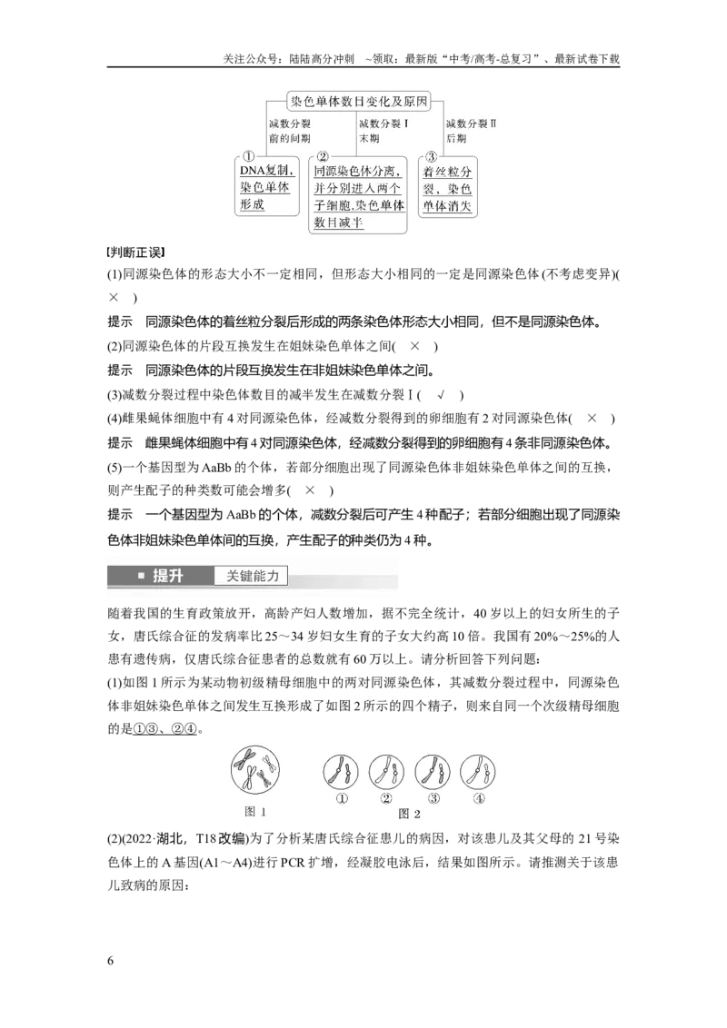 《第四单元　第21课时　减数分裂和受精作用_06-生物-高考总复习_一轮复习_2025年_2025年大一轮复习讲义人教版生物_资料_1-资料_大一轮复习讲义教师专用》第6页预览