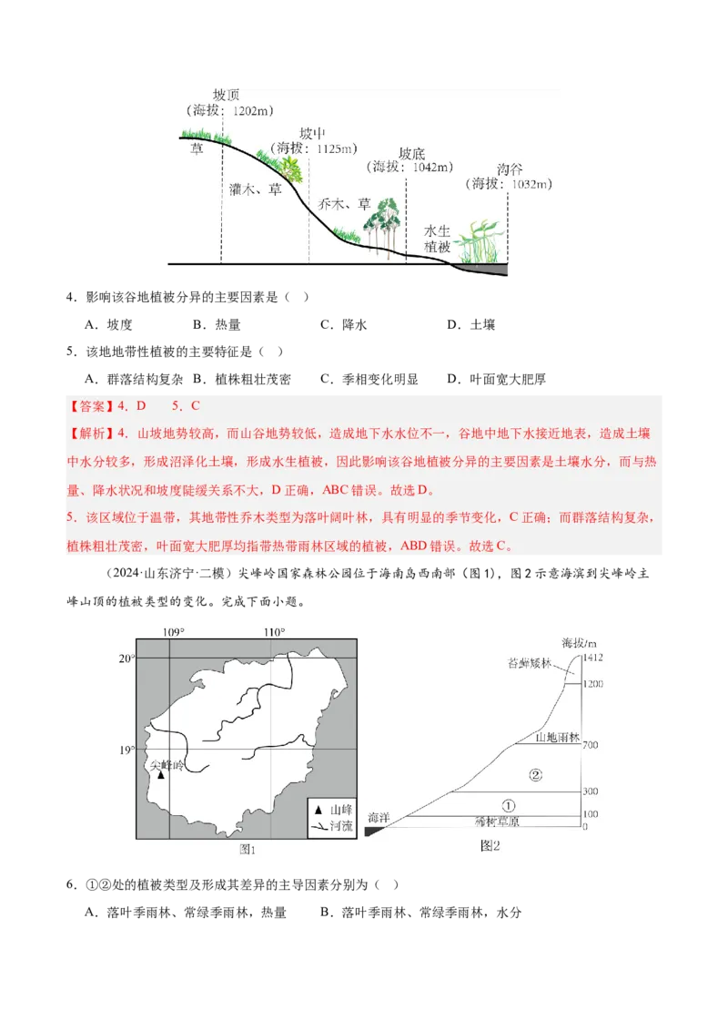 《第16讲植被与土壤（专项训练）（湖南专用）（教师版）_地理_2026年_2026年高考地理一轮课件+讲义+练习（湖南专用）-G331》第3页预览