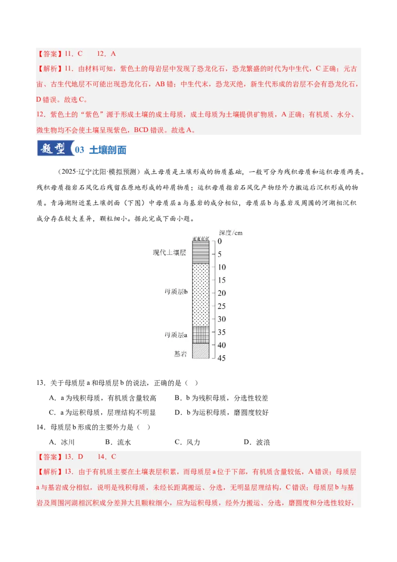 《第16讲植被与土壤（专项训练）（湖南专用）（教师版）_地理_2026年_2026年高考地理一轮课件+讲义+练习（湖南专用）-G331》第6页预览