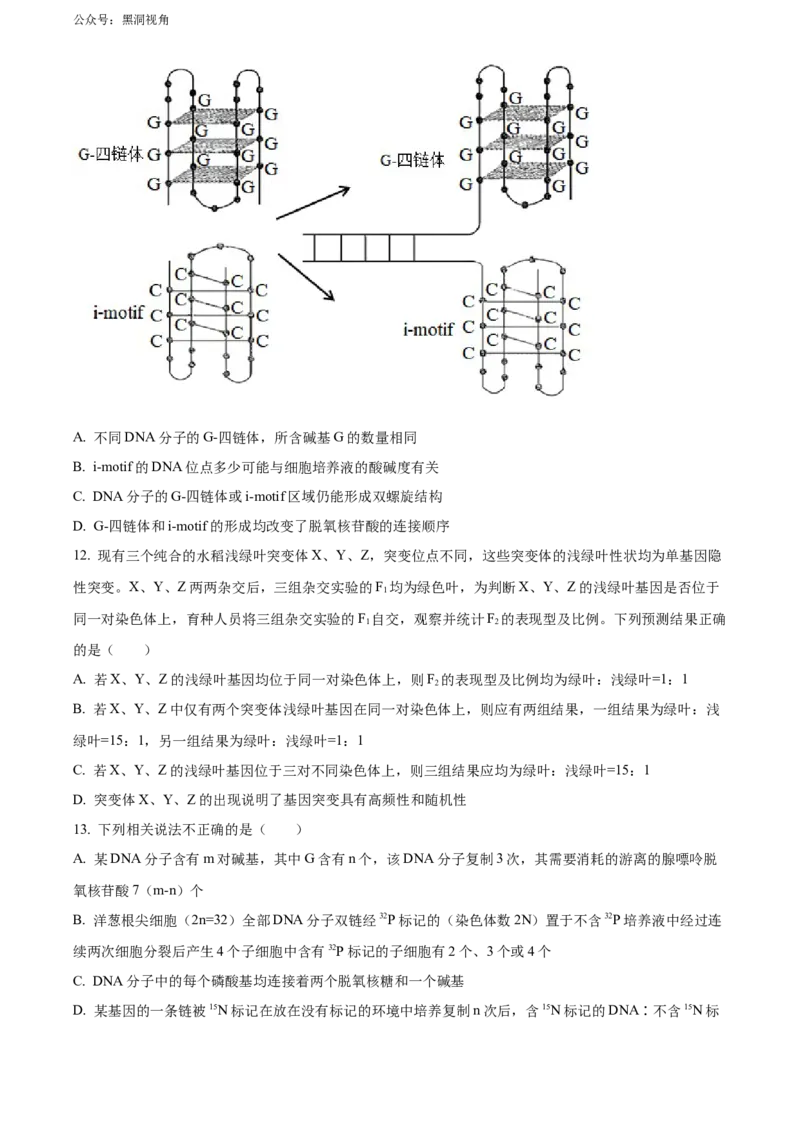 《3_福建省德化一中、永安一中、漳平一中三校协作2023-2024学年高三上学期12月联考试题+生物+Word版含解析_2025版教学资源包_2025版.新高考版.选考总复习.生物.5·3A版_第二部分图书拓展资源》第5页预览