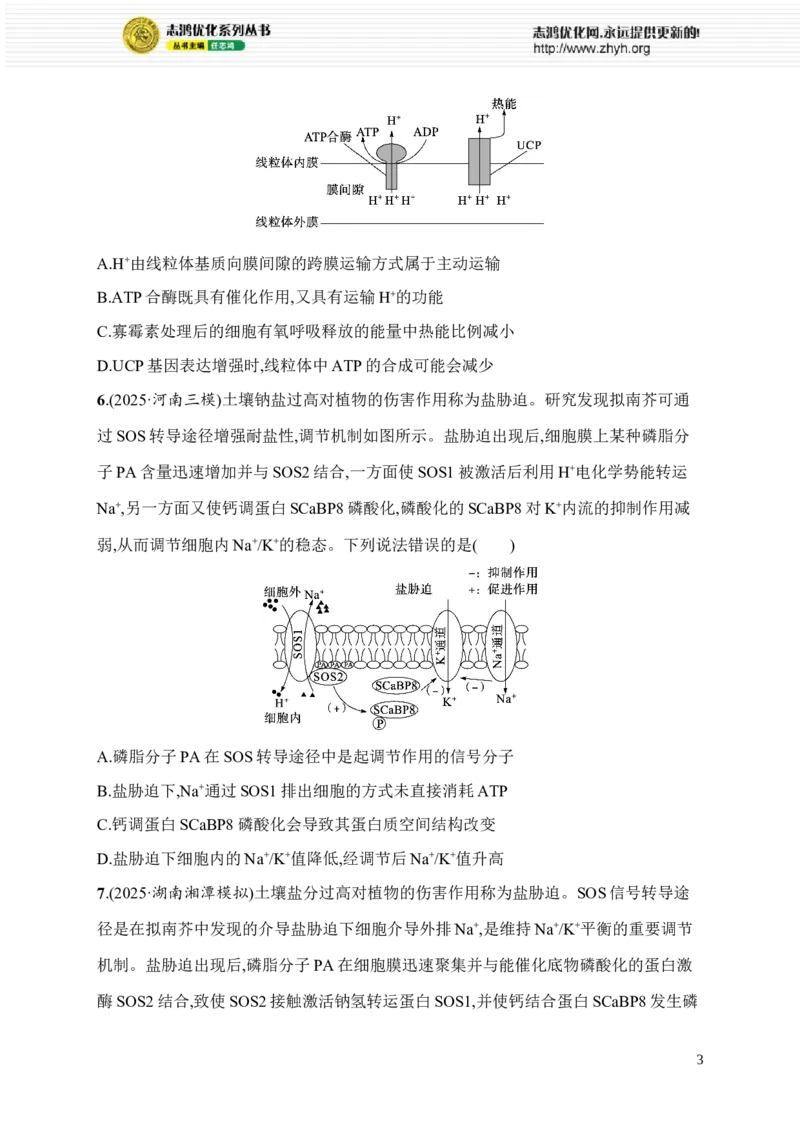 《2.物质出入细胞的方式_2026版高中《二三轮复习+冲刺复习》_高考总复习优化设计二轮用书生物课后习题Word_课后习题_考前增分专练_知识对点小题练》第3页预览