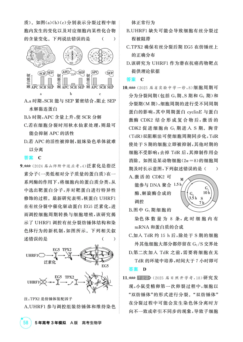 《1_精练册PDF-第6章细胞的生命历程_2026版教学资源包_202653高考总复习A版_山东版_2026版.山东版.选考总复习.生物.5·3A版_第1部分分子与细胞_第6章细胞的生命历程_1_精练册PDF》第3页预览