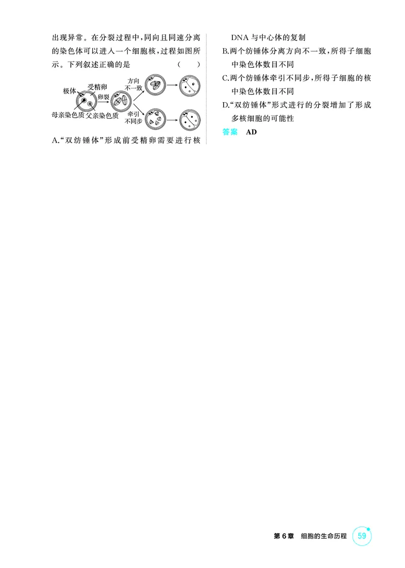 《1_精练册PDF-第6章细胞的生命历程_2026版教学资源包_202653高考总复习A版_山东版_2026版.山东版.选考总复习.生物.5·3A版_第1部分分子与细胞_第6章细胞的生命历程_1_精练册PDF》第4页预览