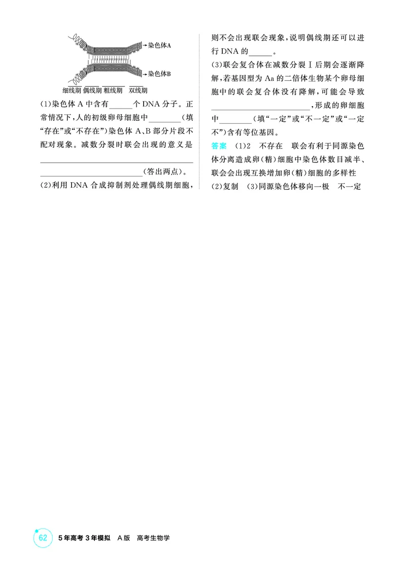 《1_精练册PDF-第6章细胞的生命历程_2026版教学资源包_202653高考总复习A版_山东版_2026版.山东版.选考总复习.生物.5·3A版_第1部分分子与细胞_第6章细胞的生命历程_1_精练册PDF》第7页预览