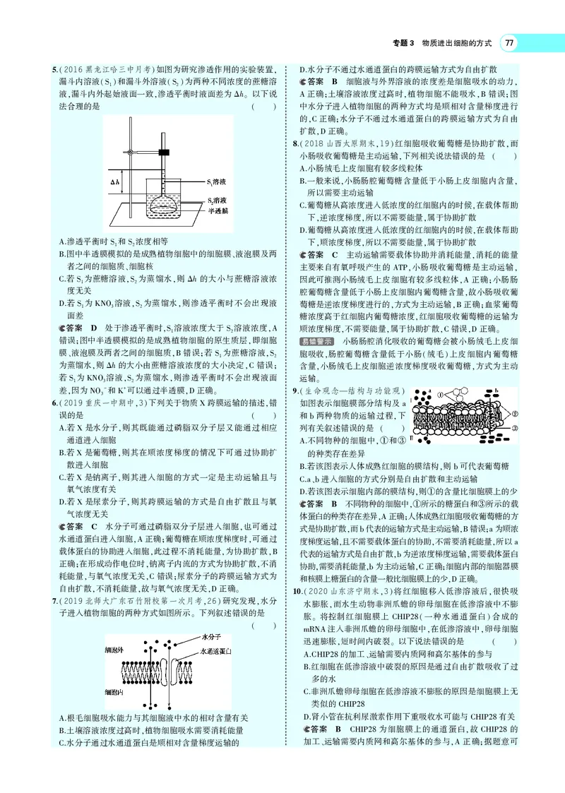 《专题3物质进出细胞的方式_2022版教学资源包_五年高考三年模拟_2022版新高考版选考总复习生物5·3A版_0125143739_专题3物质进出细胞的方式_专题PDF_专题PDF_专题电子书》第5页预览