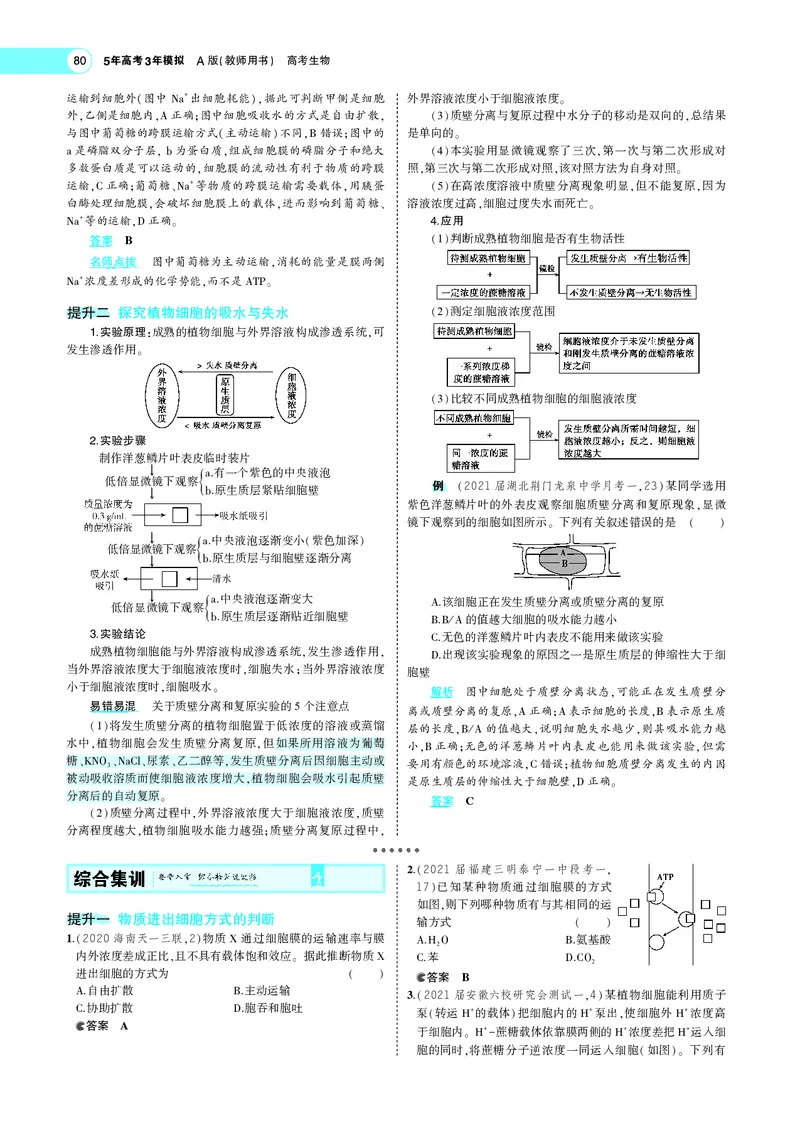 《专题3物质进出细胞的方式_2022版教学资源包_五年高考三年模拟_2022版新高考版选考总复习生物5·3A版_0125143739_专题3物质进出细胞的方式_专题PDF_专题PDF_专题电子书》第8页预览