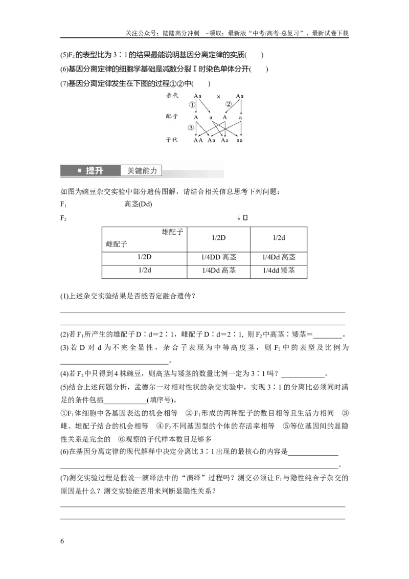 《第五单元　第24课时　一对相对性状的杂交实验_06-生物-高考总复习_一轮复习_2025年_2025年大一轮复习讲义人教版生物_资料_1-资料_大一轮复习讲义学生专用_2025大一轮复习讲义》第6页预览