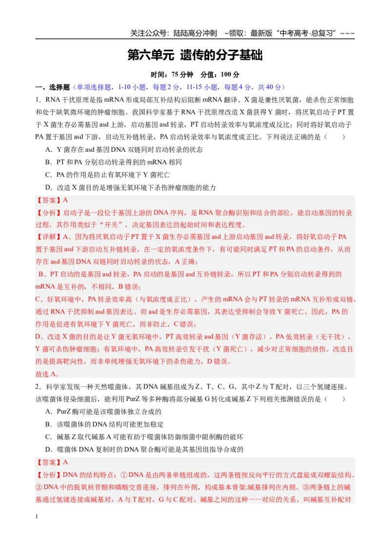 《第六单元遗传的分子基础（综合训练）（福建专用）（教师版）_06-生物-高考总复习_一轮复习_2026年-生物高考一轮复习_2026年高考生物一轮课件+讲义+练习（福建专用）-G328》第1页预览