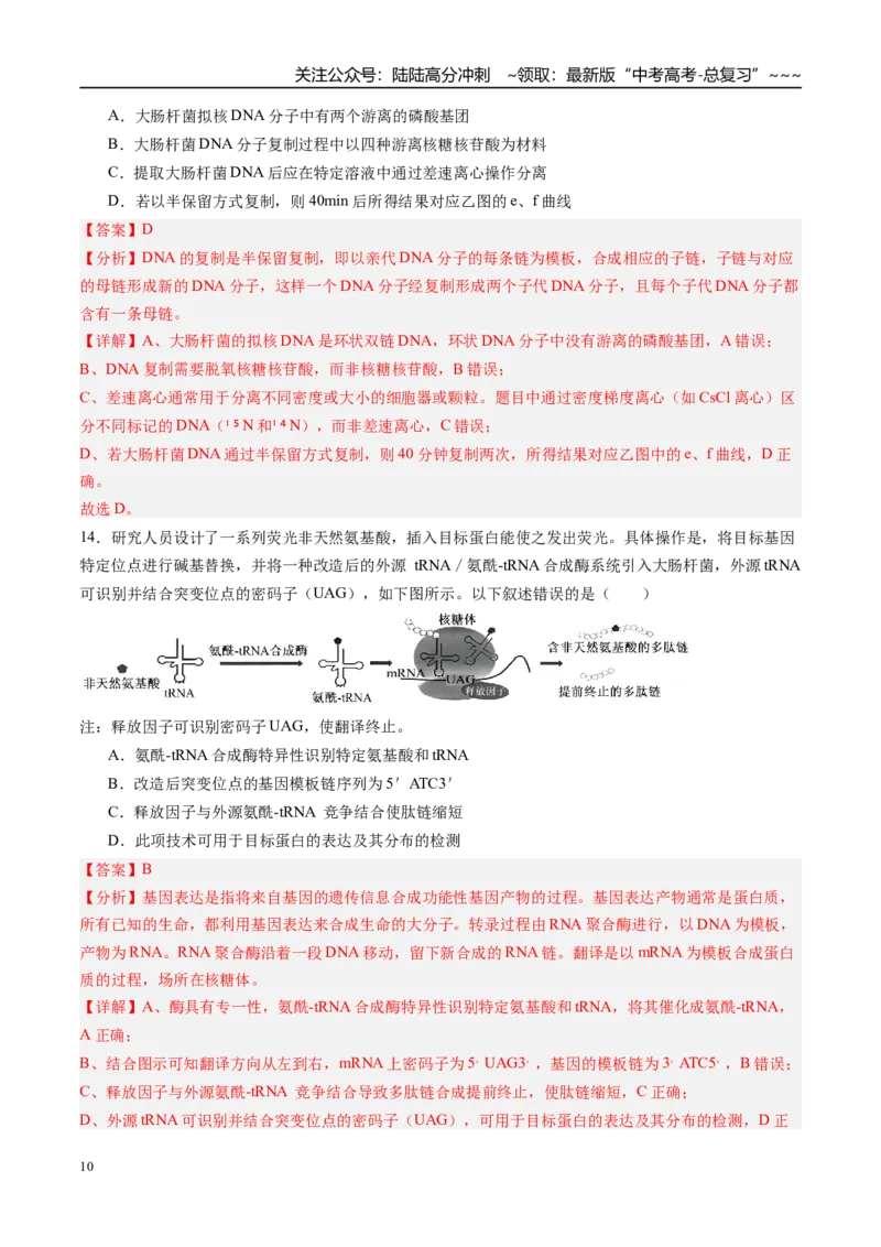 《第六单元遗传的分子基础（综合训练）（福建专用）（教师版）_06-生物-高考总复习_一轮复习_2026年-生物高考一轮复习_2026年高考生物一轮课件+讲义+练习（福建专用）-G328》第10页预览