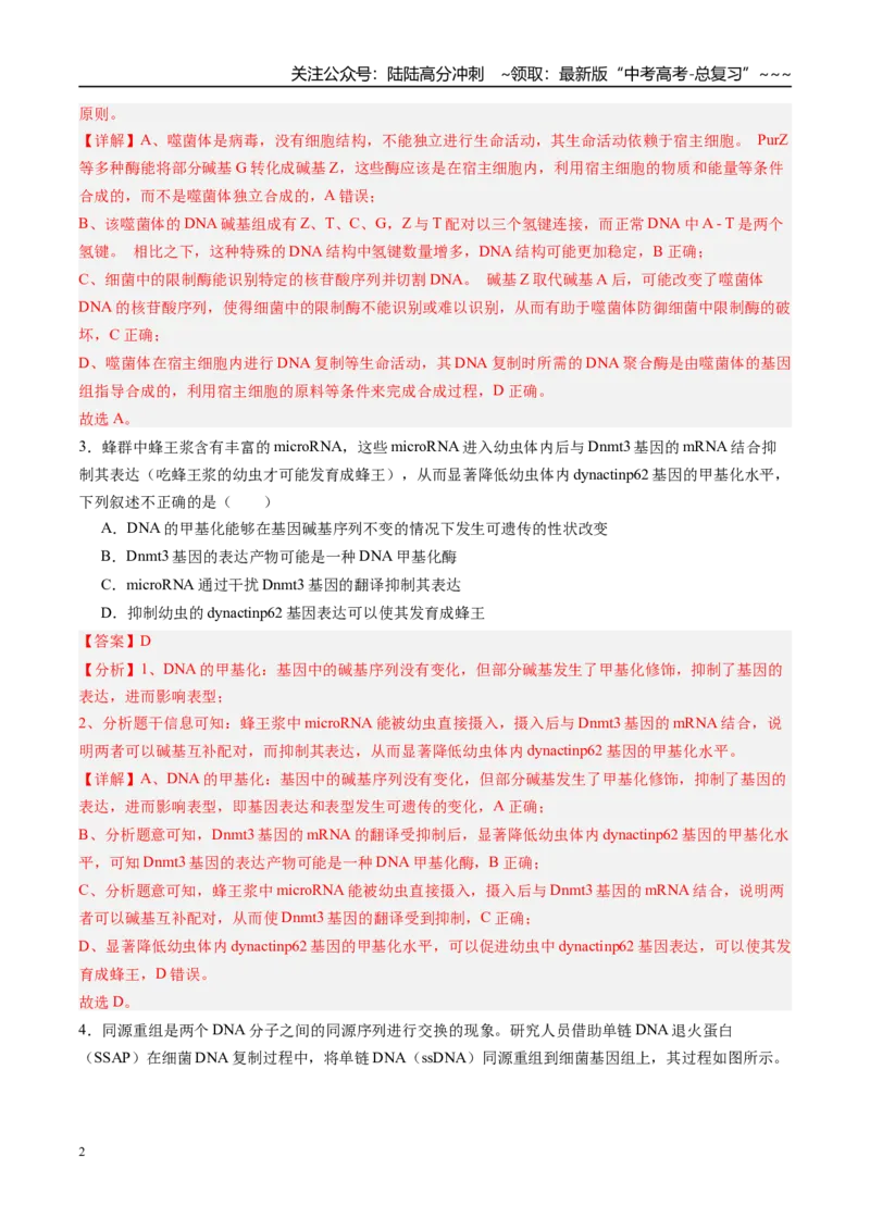 《第六单元遗传的分子基础（综合训练）（福建专用）（教师版）_06-生物-高考总复习_一轮复习_2026年-生物高考一轮复习_2026年高考生物一轮课件+讲义+练习（福建专用）-G328》第2页预览