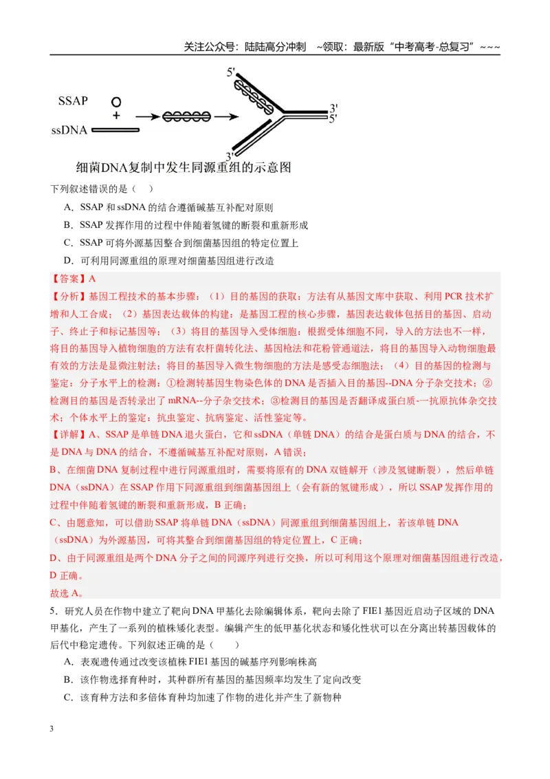 《第六单元遗传的分子基础（综合训练）（福建专用）（教师版）_06-生物-高考总复习_一轮复习_2026年-生物高考一轮复习_2026年高考生物一轮课件+讲义+练习（福建专用）-G328》第3页预览