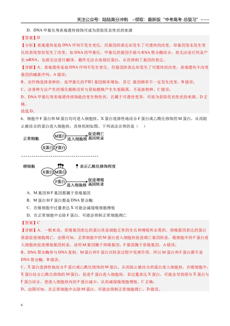 《第六单元遗传的分子基础（综合训练）（福建专用）（教师版）_06-生物-高考总复习_一轮复习_2026年-生物高考一轮复习_2026年高考生物一轮课件+讲义+练习（福建专用）-G328》第4页预览