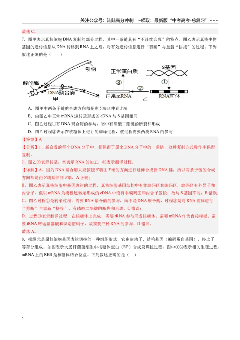 《第六单元遗传的分子基础（综合训练）（福建专用）（教师版）_06-生物-高考总复习_一轮复习_2026年-生物高考一轮复习_2026年高考生物一轮课件+讲义+练习（福建专用）-G328》第5页预览