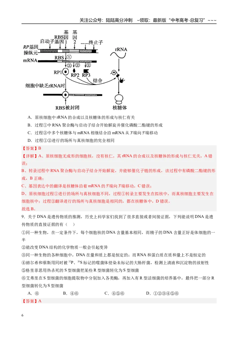 《第六单元遗传的分子基础（综合训练）（福建专用）（教师版）_06-生物-高考总复习_一轮复习_2026年-生物高考一轮复习_2026年高考生物一轮课件+讲义+练习（福建专用）-G328》第6页预览